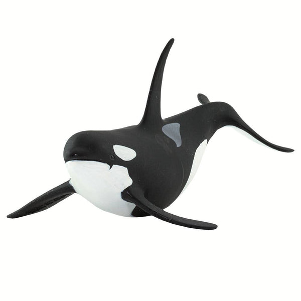 Orca - 100232