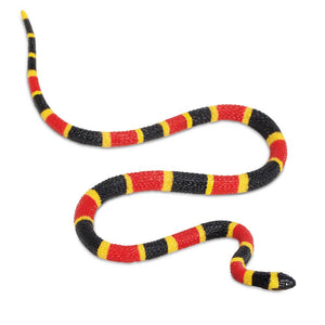 Coral Snake Baby - 263329