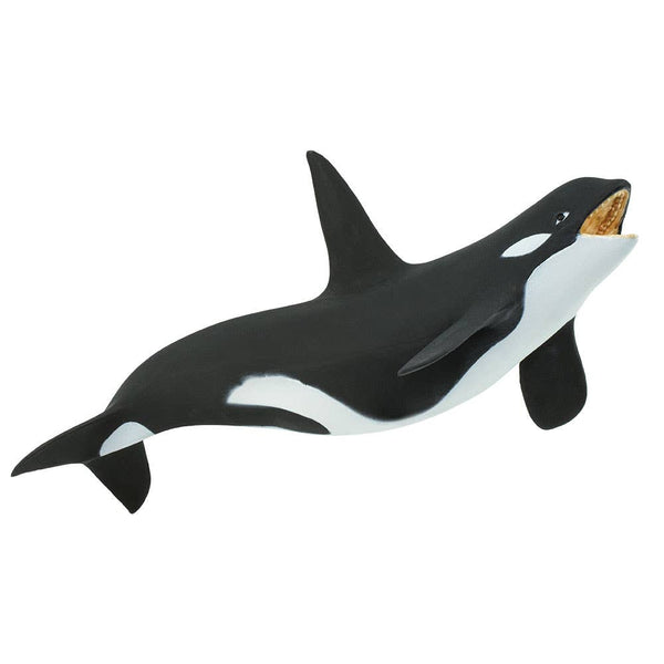 Killer Whale - 275129