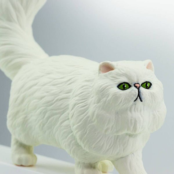 Persian Cat - 100203