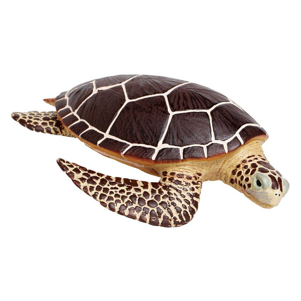 Sea Turtle - 260429