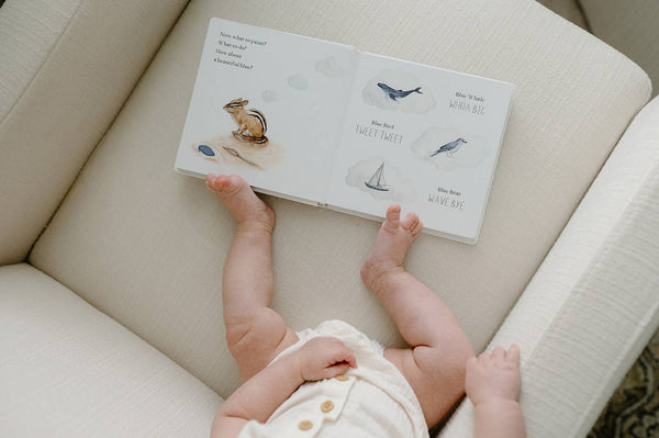 Paige and Tate Wishy Washy: A Board Book of First Words and Colors