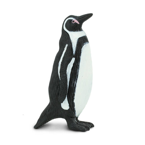 Humboldt Penguin - 276229