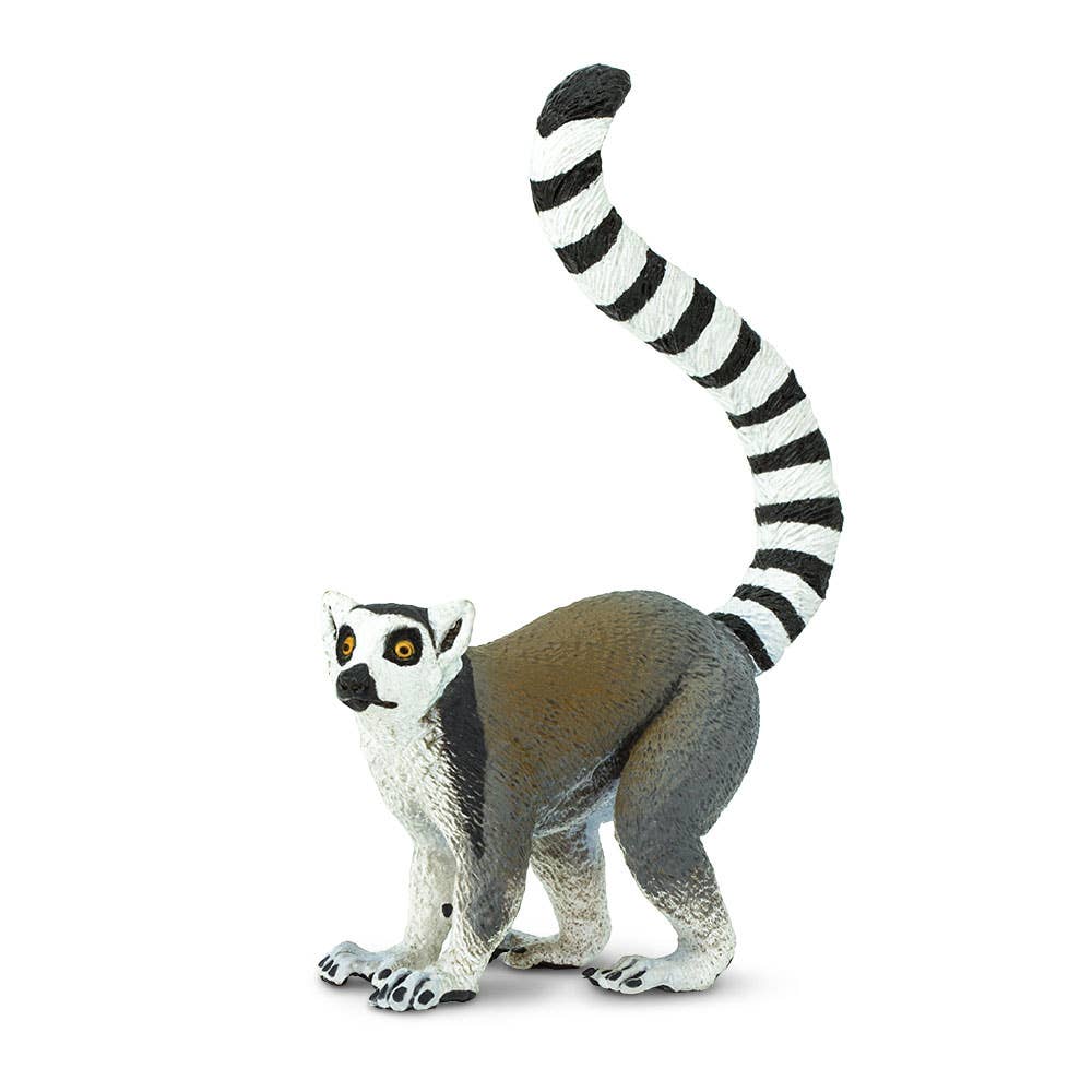 Ring - Tailed Lemur - 292229