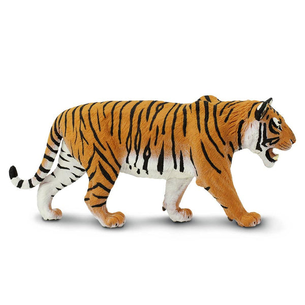 Siberian Tiger - 111389