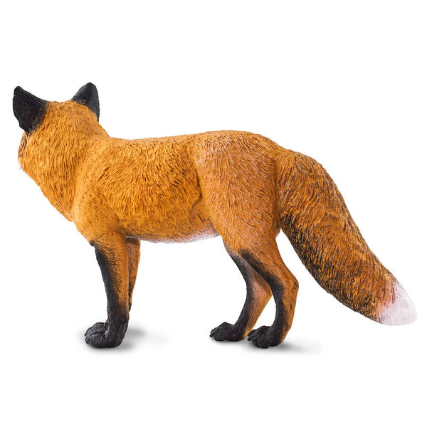 Red Fox - 100361