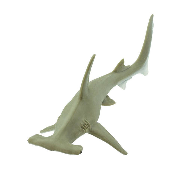 Hammerhead Shark - 274829