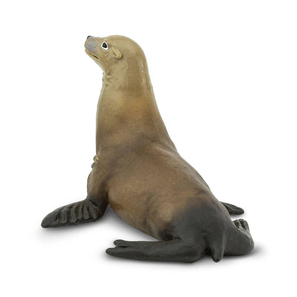 Sea Lion - 274229