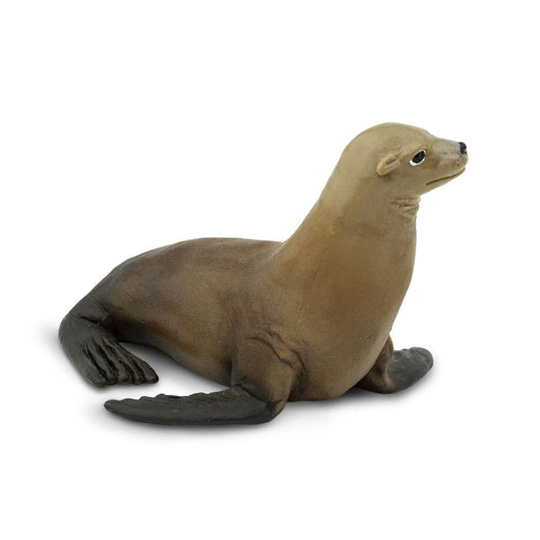 Sea Lion - 274229