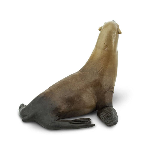 Sea Lion - 274229