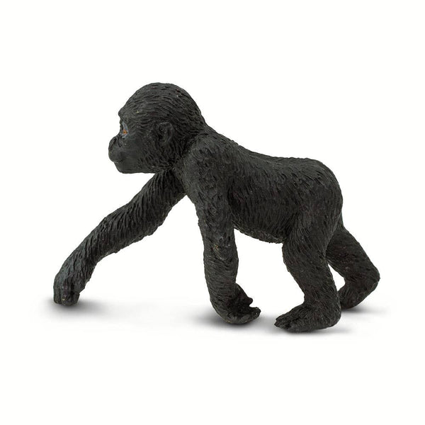 Lowland Gorilla Baby - 294829