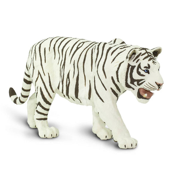 White Siberian Tiger - 112089