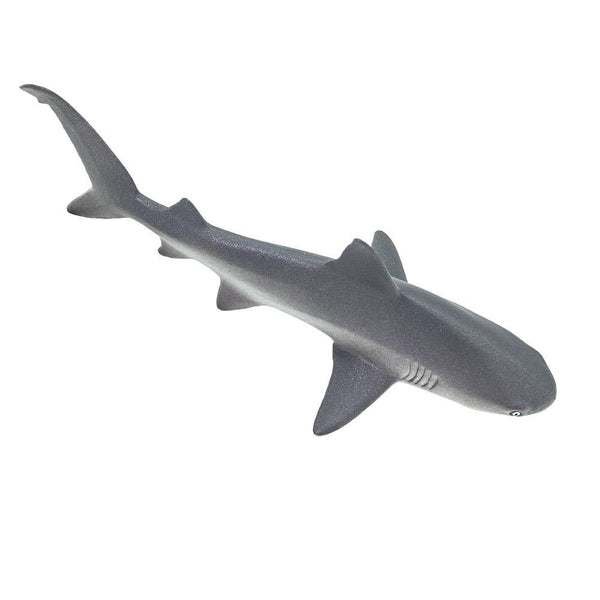 Gray Reef Shark - 100099