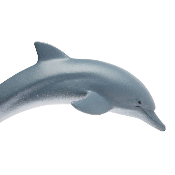 Dolphin - 200129