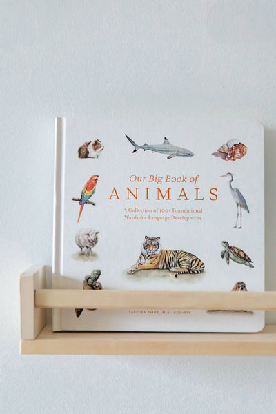 Paige and Tate Our Big Book of Animals (Board Book)