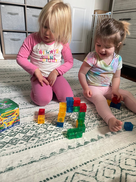 Crayola Bold PIP Cubes Magnetic Building Cubes 24pc