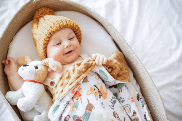 Baby & Toddler Minky Blanket - Snuggle Buddies