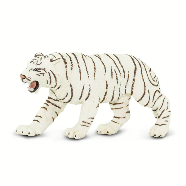White Bengal Tiger - 273129
