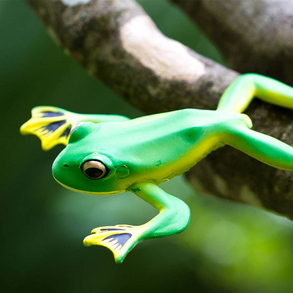 Flying Tree Frog - 100259