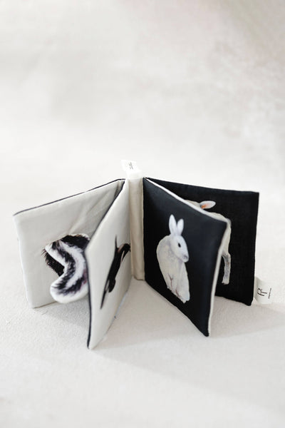 Paige and Tate Crinkle Book Made with ORGANIC Cotton