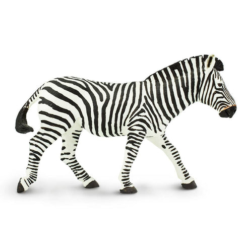 Zebra - 111489