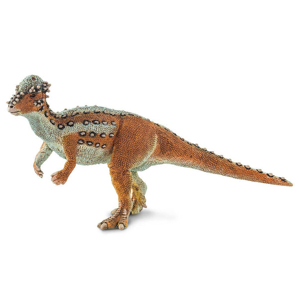 Pachycephalosaurus - 100350