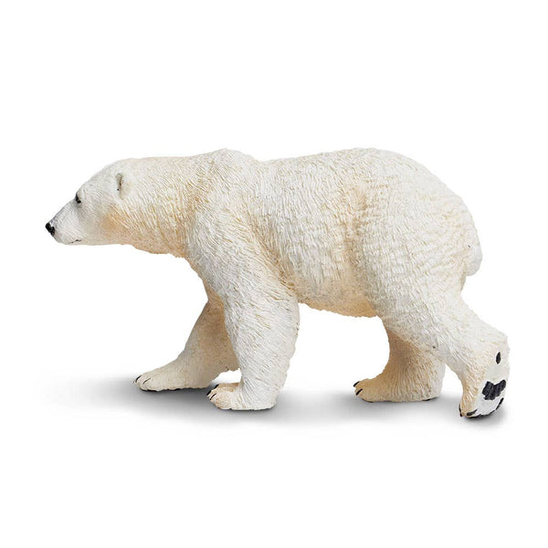 Polar Bear - 273329