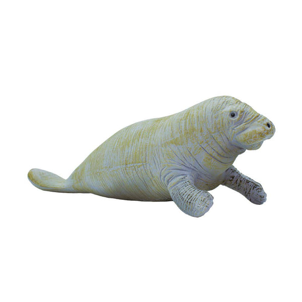 Manatee - 273929