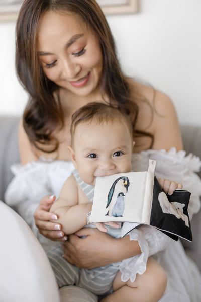 Paige and Tate Crinkle Book Made with ORGANIC Cotton