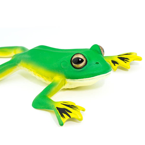 Flying Tree Frog - 100259