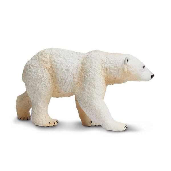 Polar Bear - 273329