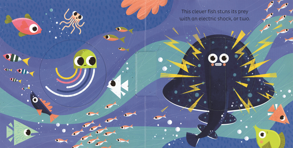 Animal Magic: In the Ocean