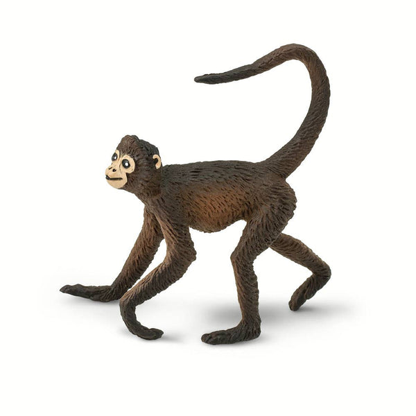 Spider Monkey - 291629