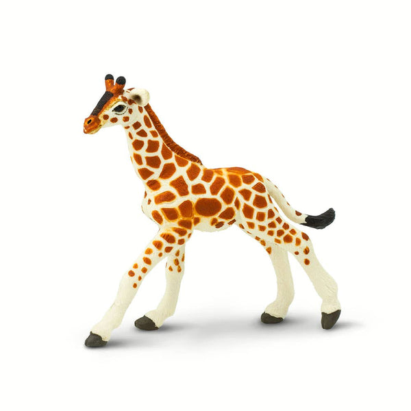 Reticulated Giraffe Baby - 268529