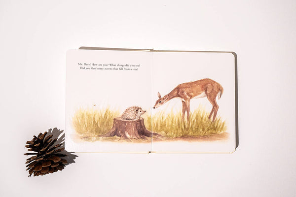Paige and Tate Our Little Adventures Board Book Box Set for Kids