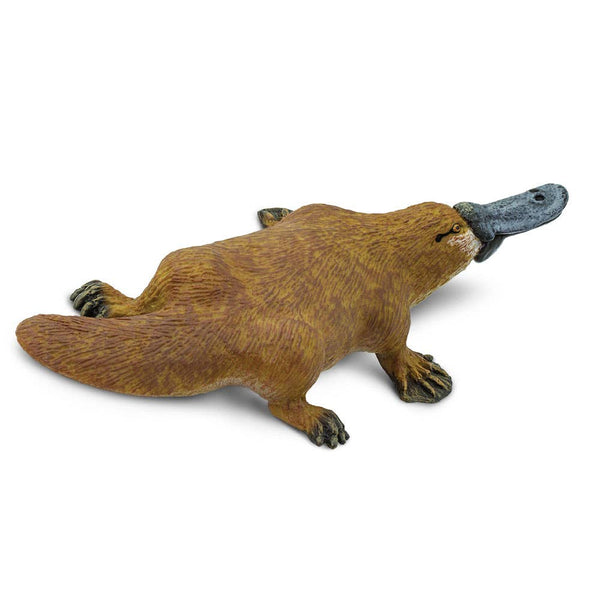 Platypus - 283529