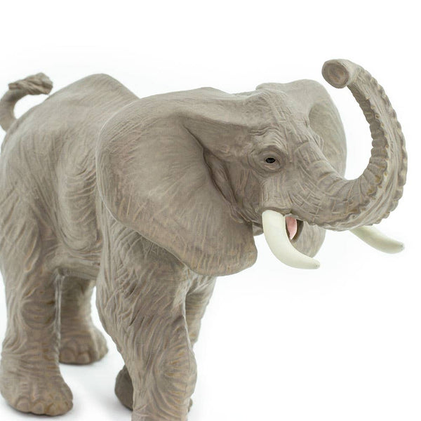 African Elephant - 238429