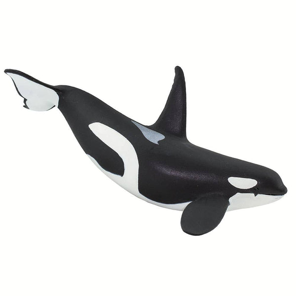 Orca - 100232