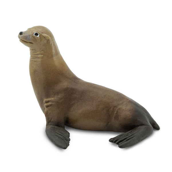 Sea Lion - 274229