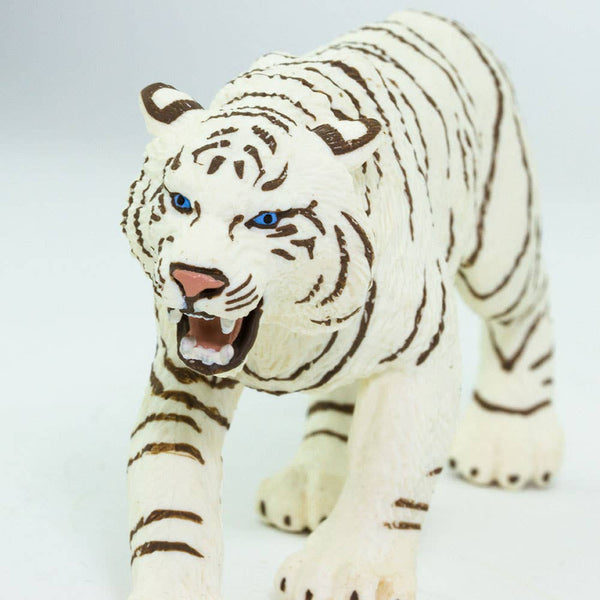 White Bengal Tiger - 273129