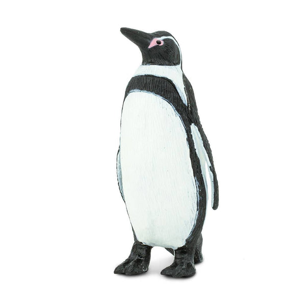 Humboldt Penguin - 276229