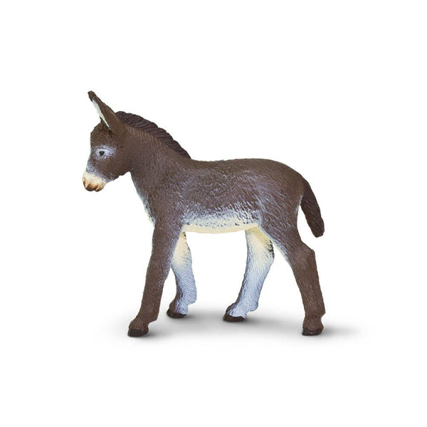 Donkey Foal - 249929