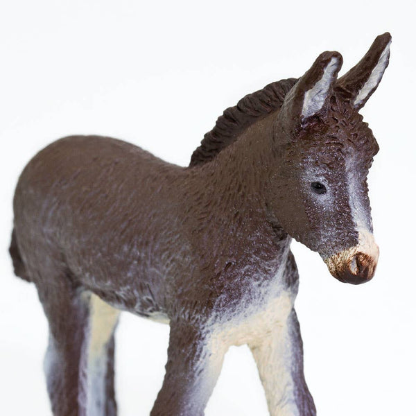 Donkey Foal - 249929