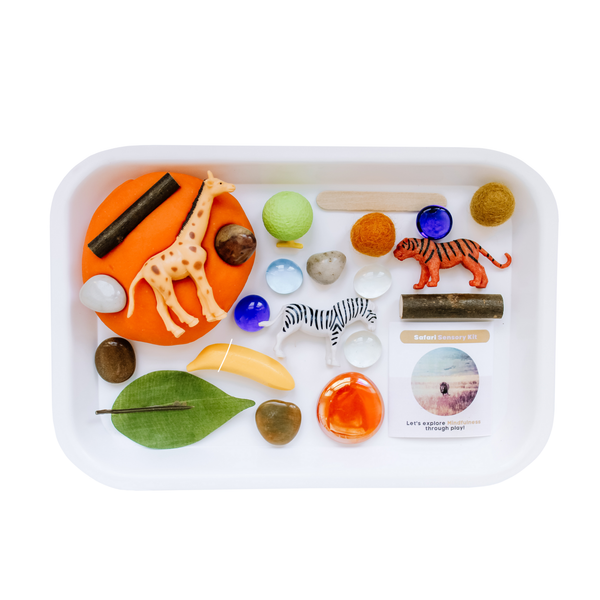 Children's Safari Sensory Play Dough Kit