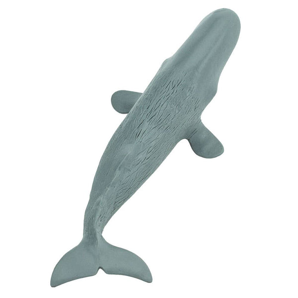 Sperm Whale - 275529