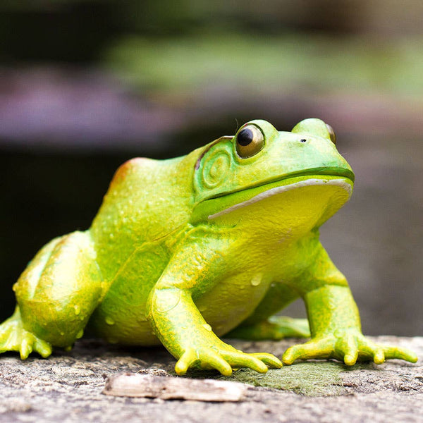 American Bullfrog Figurine Toy