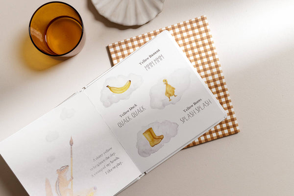 Paige and Tate Wishy Washy: A Board Book of First Words and Colors