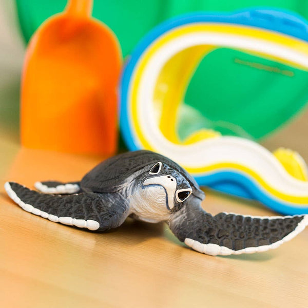 Sea Turtle Baby - 268129