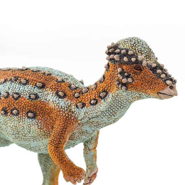 Pachycephalosaurus - 100350