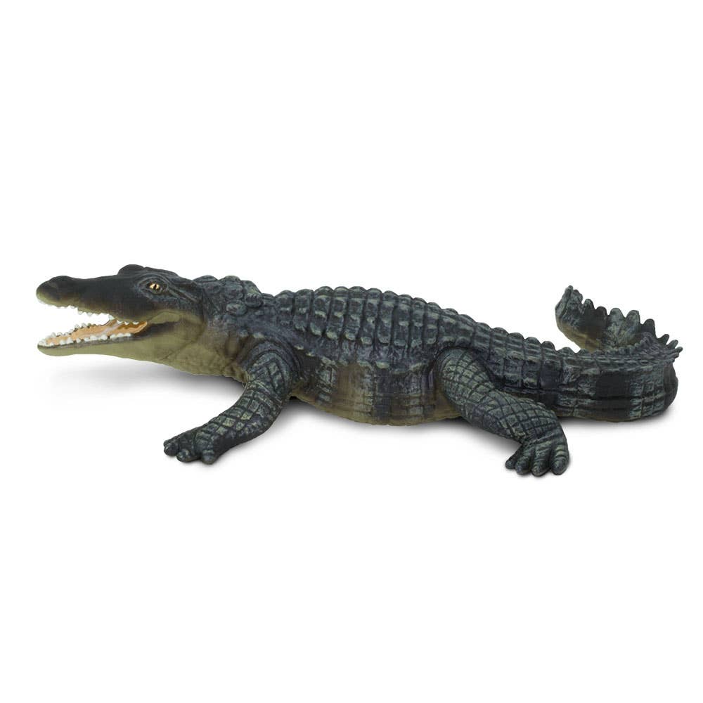 Crocodile - 272729